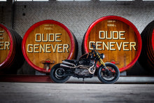 Bild in Galerie-Viewer laden, Harley Davidson Sportster Exhaust 'Twisted'  (ex. VAT) - MAD Exhausts